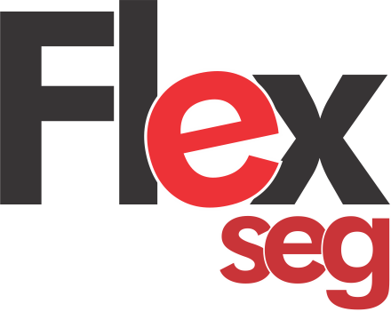 Flex_Seg